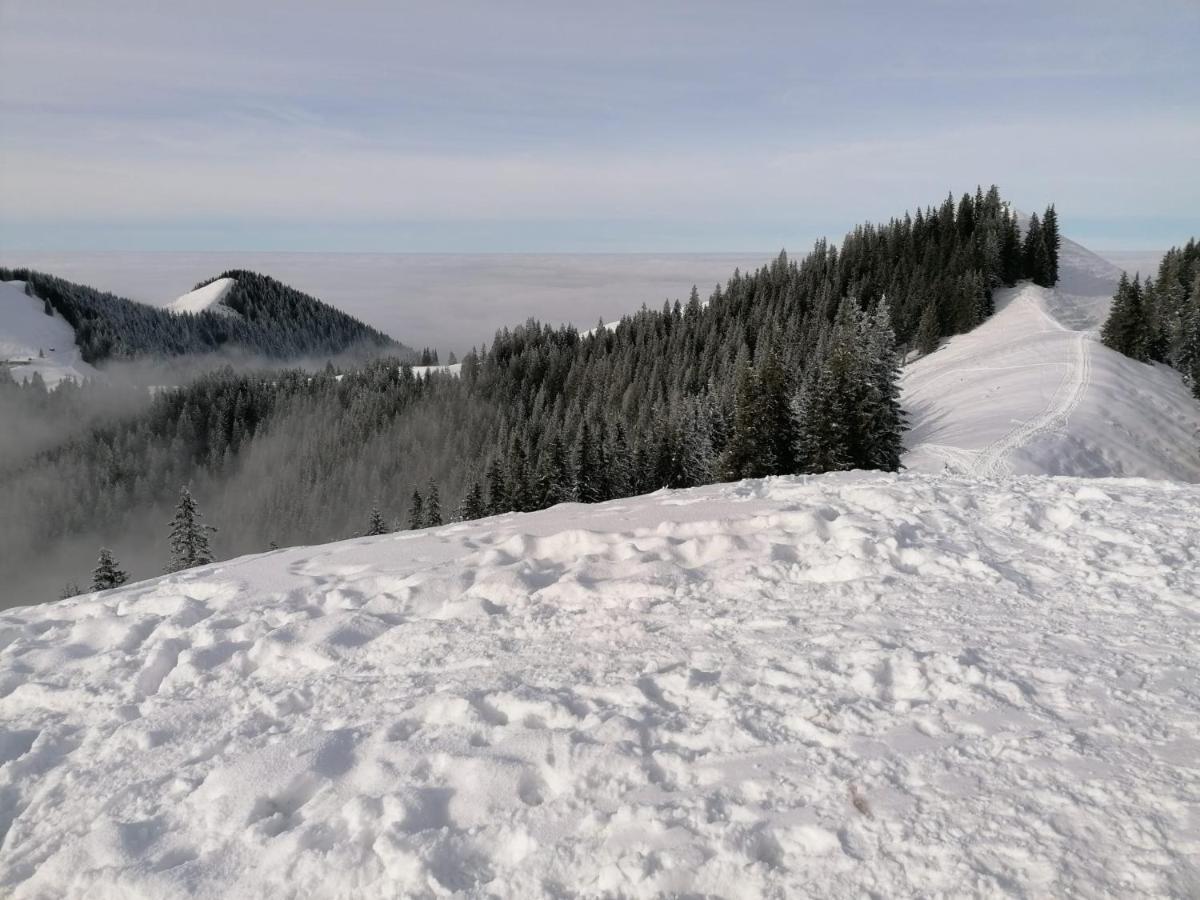 Kultur, Berge, Seen, Moor - Das Lebensglueck Murnau am Staffelsee Exteriér fotografie